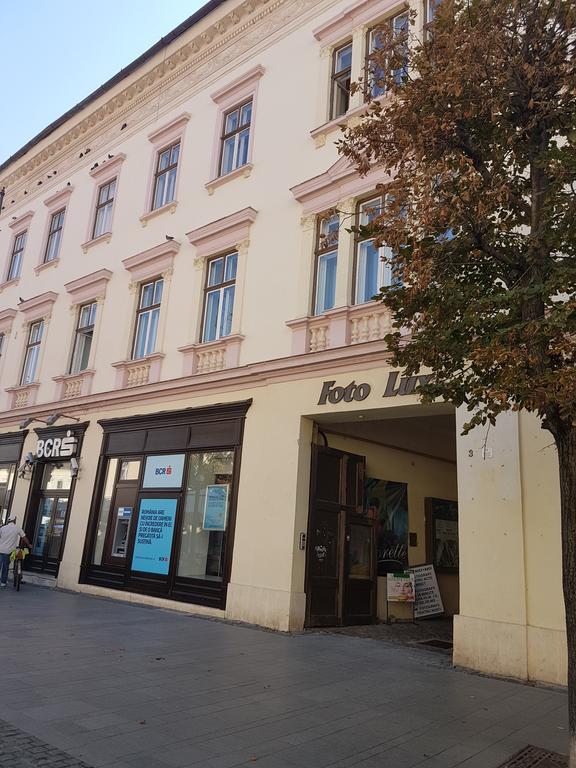 Apartament Teodora Sibiu Appartamento Esterno foto